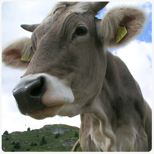 Vision Landwirtschaft 2050