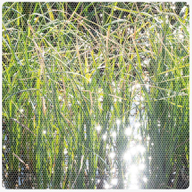 Inventar der Moorlandschaften