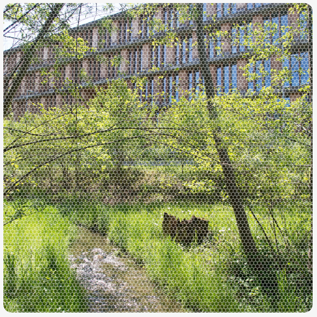 10 Jahre Stiftung N&W