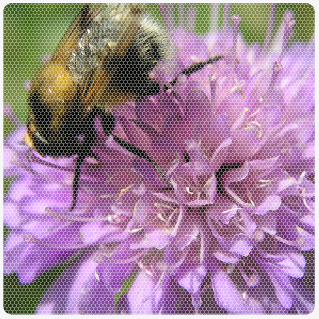 Sustainable Development Goals