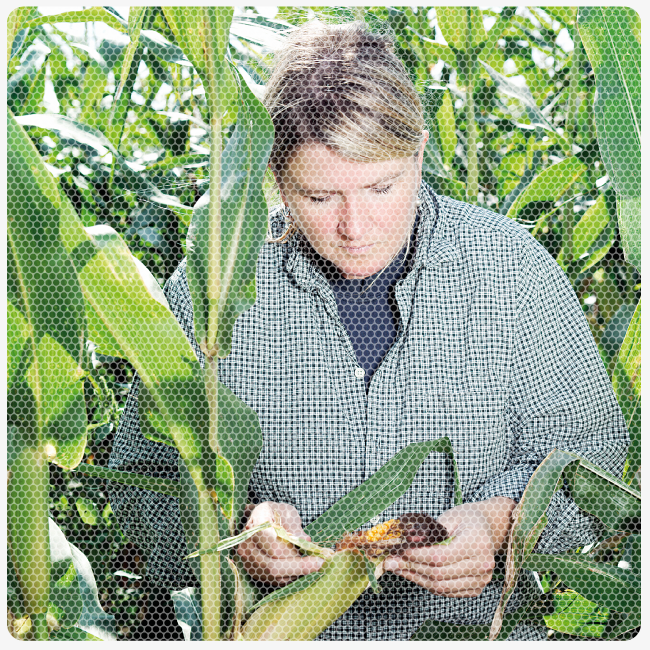 ETH Agrarwissenschaften