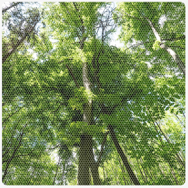 Regelflyer Naturschutzdienst