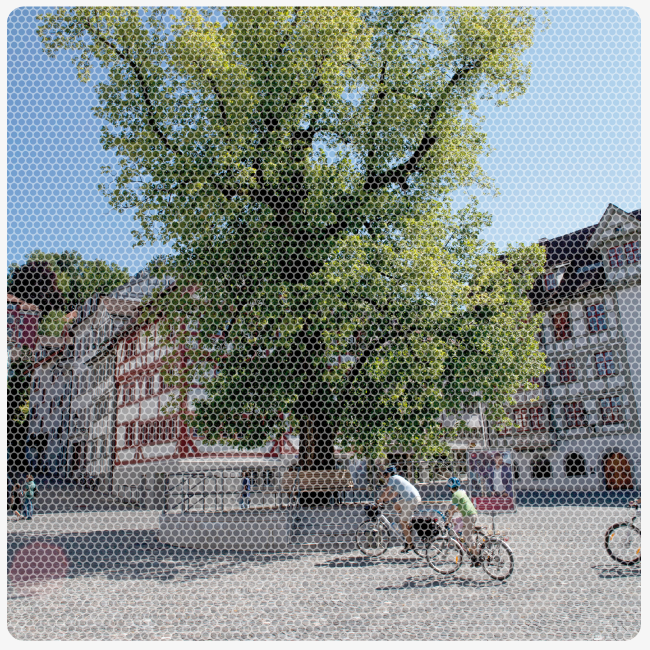 Umweltbericht St.Gallen 2016