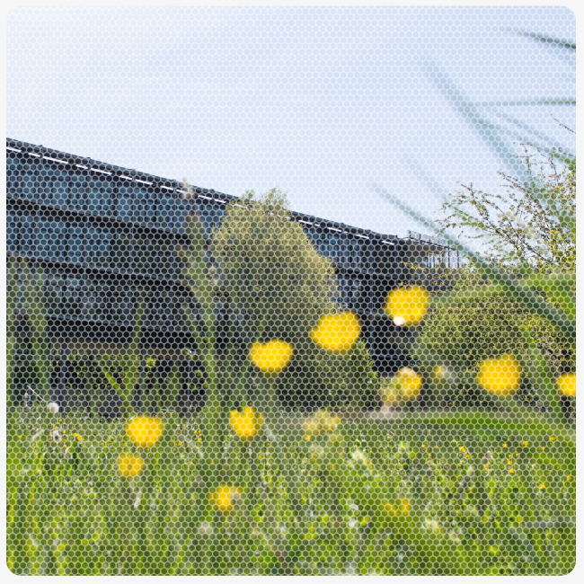 Dokumentation Gartenjahr