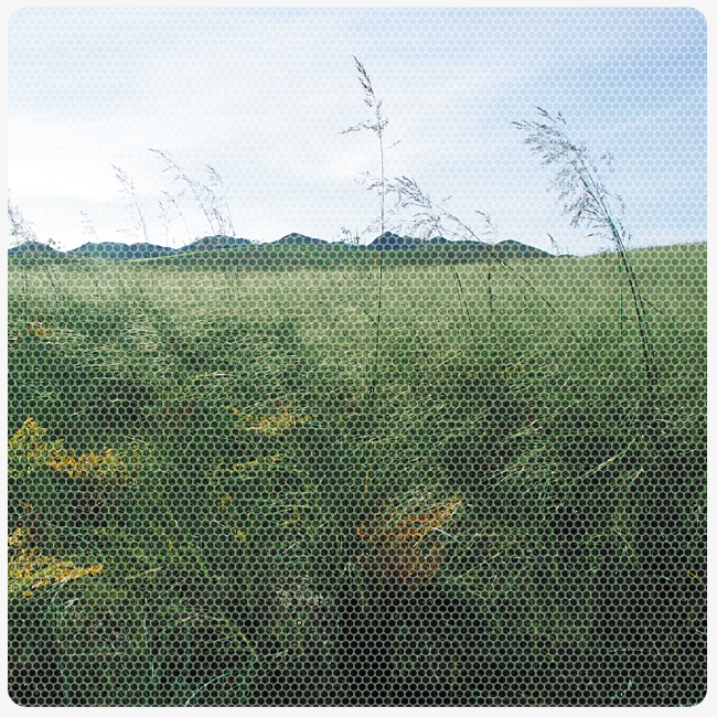 UNESCO-Biosphärenreservat Kasachstan